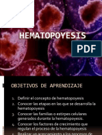 Hematopoyesis.v