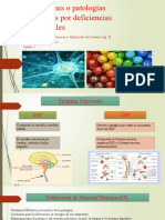 Alteraciones o Patologías Neuronales Por Deficiencias Nutricionales