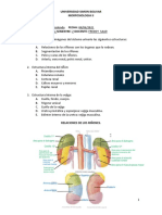 GUIA RENAL para Resolver