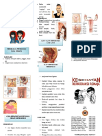 Leaflet Kesehatan Reproduksi Remaja PDF