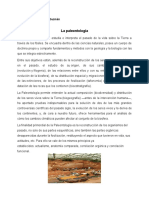 La Paleontología: Leonel Armando Chávez Guzmán Curso: Biología 5to. Bach. en Educación