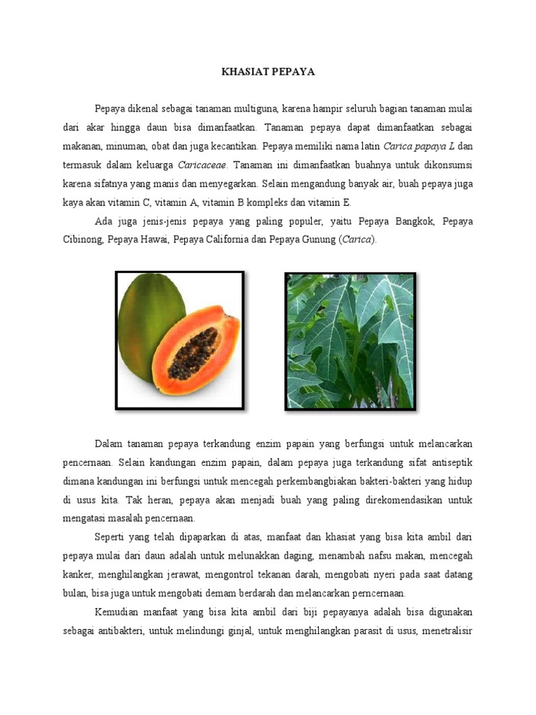 Khasiat Pepaya | PDF