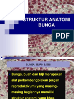 STRUKTUR ANATOMISERBUK SARI DAN PEMBUAHAN