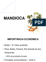 A Cultura Da Mandioca