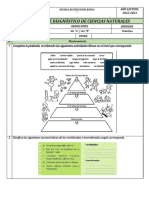 CCNN EVALUACIÓN DIAGNÓSTICA