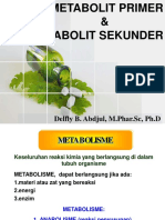 MK Farmakognosi Metabolit Primer Dan Sekunder