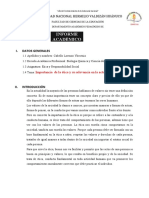 Modelo Informe Académico