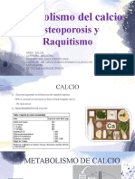 Metabolismo del calcio: Osteoporosis y Raquitismo