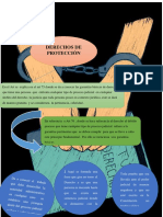 Derechos de Proteccion