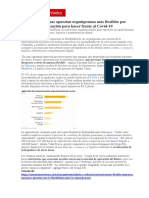 Empresas Peruanas Apuestan Por Organigramas Mas Flexibles