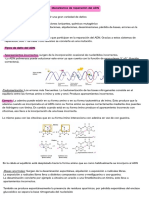 Mecanismos de Reparación Del ADN