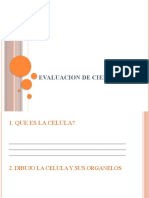 Evaluacion de Ciencias