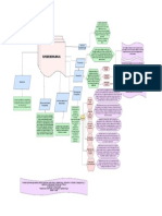 Mapa Conceptual, Anny Friely, Maestria en Enfermeria Enfasis Epidemiologia