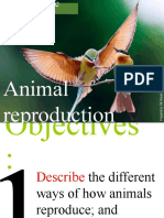 Animal Reproduction