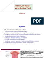 Anatomy of Upper Gastrointestinal Tract Reseaarch