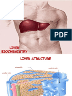 Biochemical Functions of Liver