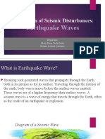 Propagation of Seismic Disturbances
