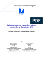 Hail Detection Using Radar Observations: Case Studies in The Summer 2002