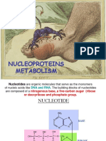 Metabolism of Nucleoproteins