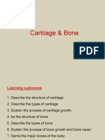 Cartlage Bone 2012