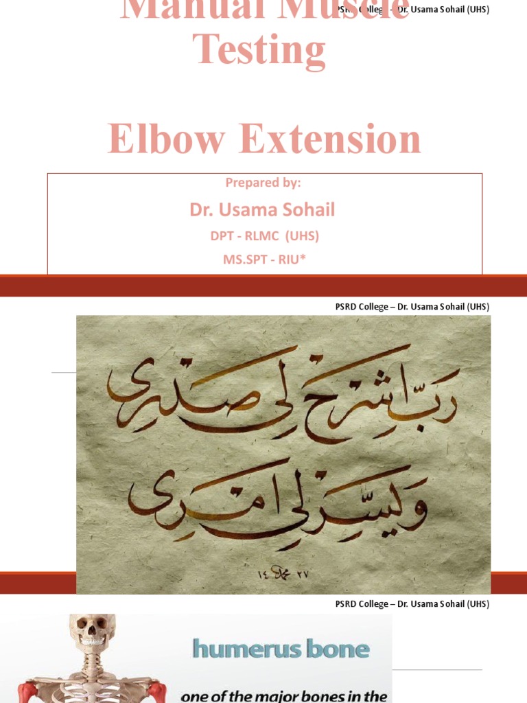 Elbow Extension Manual Muscle Testing | PDF | Elbow | Anatomical Terms ...