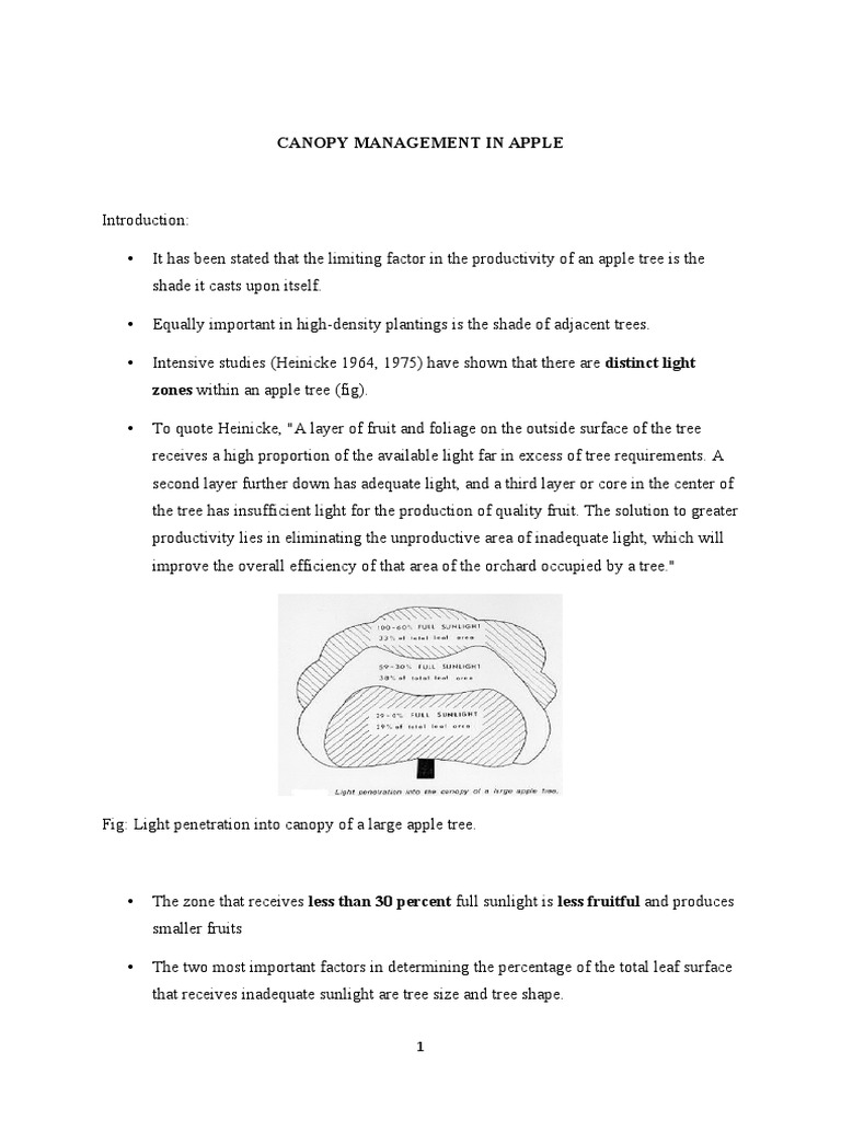 Canopy Management in Apple | PDF | Pruning | Trees