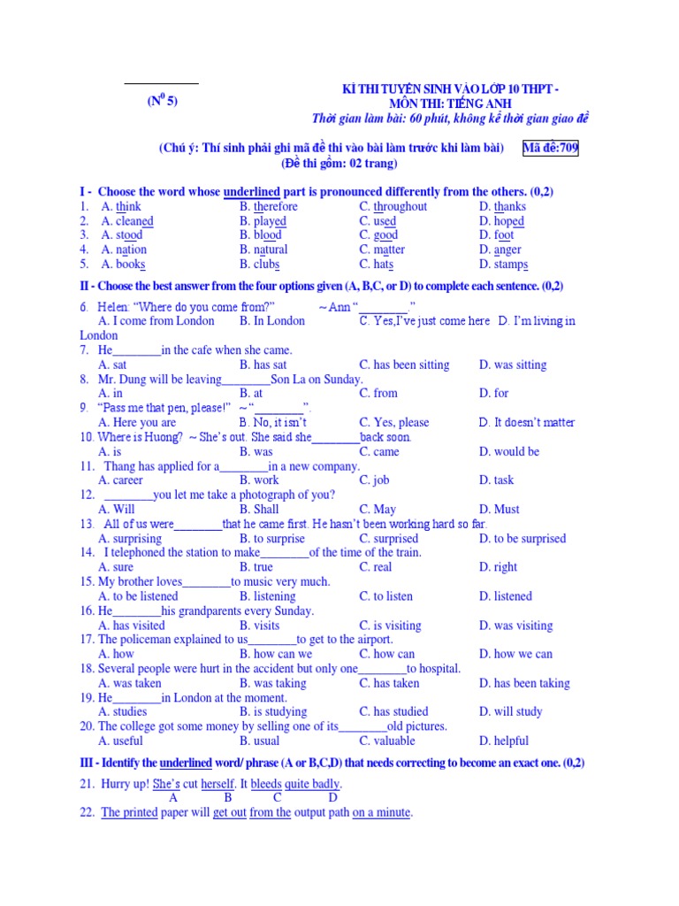 Homework Lesson 5 Grammar | PDF
