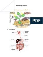 Ejemplos de sistemas