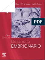 Embrionar IO: Desarrollo