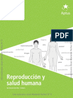 Cambios pubertad desarrollo humano