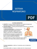 A) Sistema Respiratrio