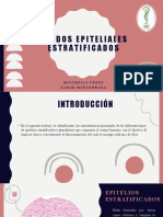 Presentación Epitelio Estratificados