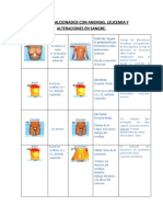 Puntos Realcionados Con Anemias