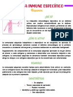 Tarea 2.3 Sistema Inmune Específico