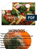 Hongos y Protozoos