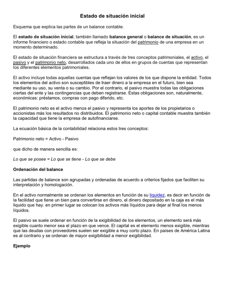 Estado de Situación Inicial en Contabilidad | PDF
