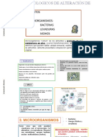 Factores Biologicos de Alteración de Alimentos