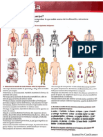 Organos y Sistemas Diagnostico