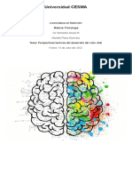 Psicología - Perspectivas Teóricas Del Desarrollo Del Ciclo Vital