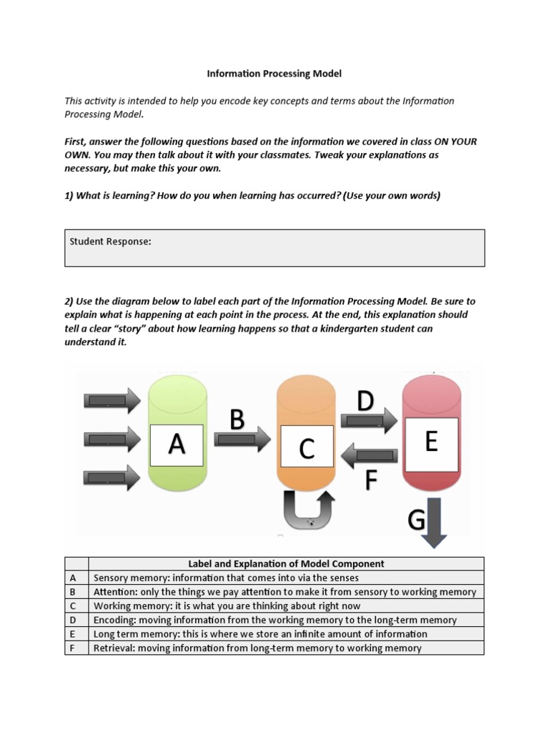 Understanding the Information Processing Model | PDF | Memory | Information
