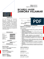 CV Ricardo Zamora Villamar