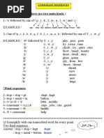 IPA Phonetic Alphabet Overview | PDF | Phonetics | Human Voice