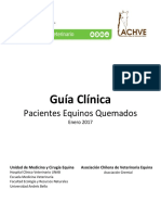 Guía Clínica Paciente Equino Quemado