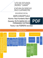 Seguridad Social Mapa Conceptual