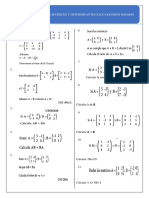 Practica de Matrices y Detrminantes Saco Rosario