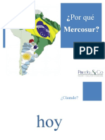 Venezuela Hacia El Mercosur