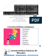 1.3 Características Básicas de Los Proyectos