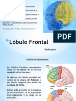 SINDROME FRONTAL