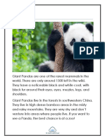 Rare Giant Pandas Facts - Diet, Habitat & More