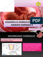 Desarrollo Embriológico Del Aparato Faríngeo Ii: Prof. Mercedes Urrieta